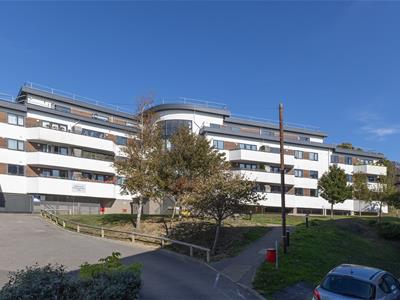 Picture 21